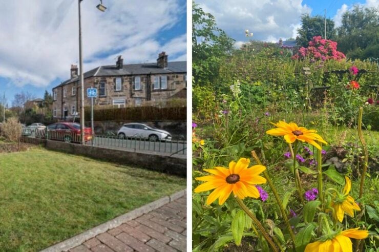 Image for Before and after: the rewilded front gardens of Positive News readers